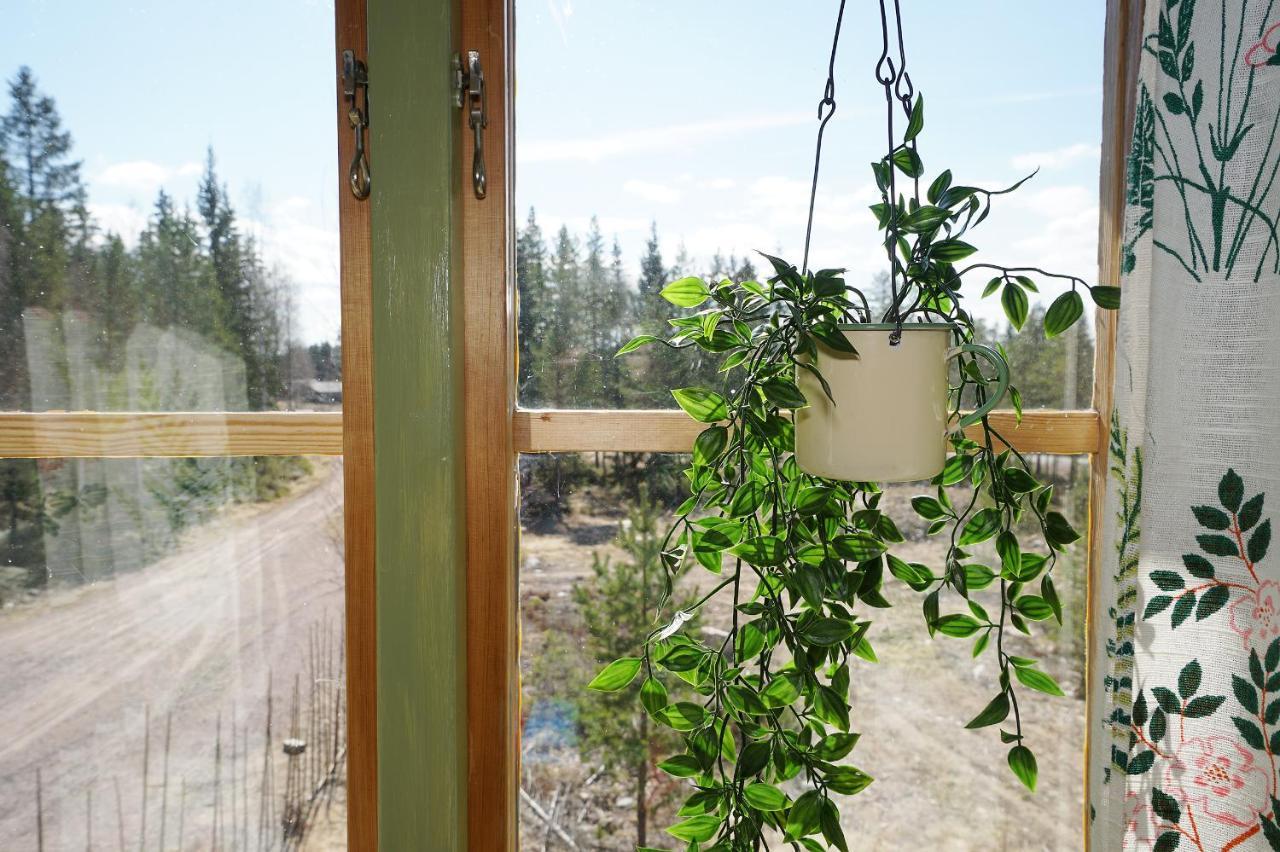 Edsbyn Mittjas Vallen Timber Lodge & Cabins מראה חיצוני תמונה
